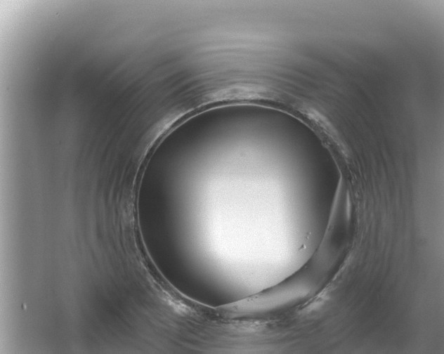 X0000067491081200604101249