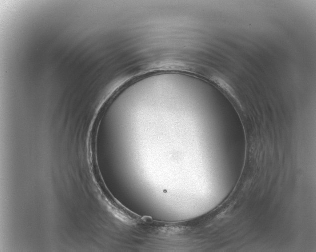 X0000067491082200604101249