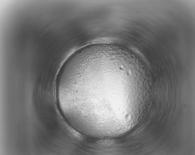 X0000067491083200604101249