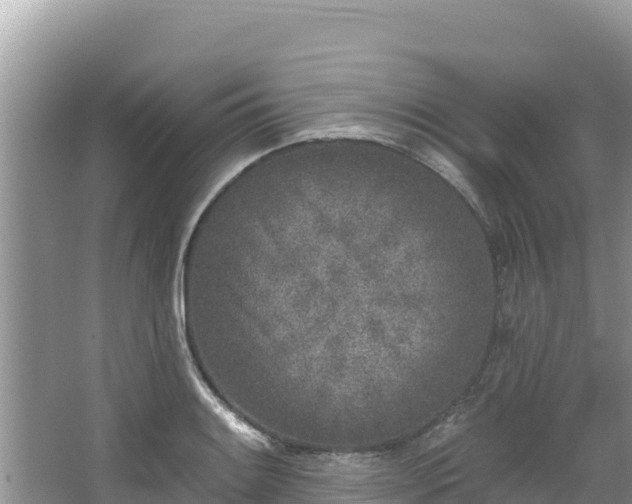 X0000067491084200604101249