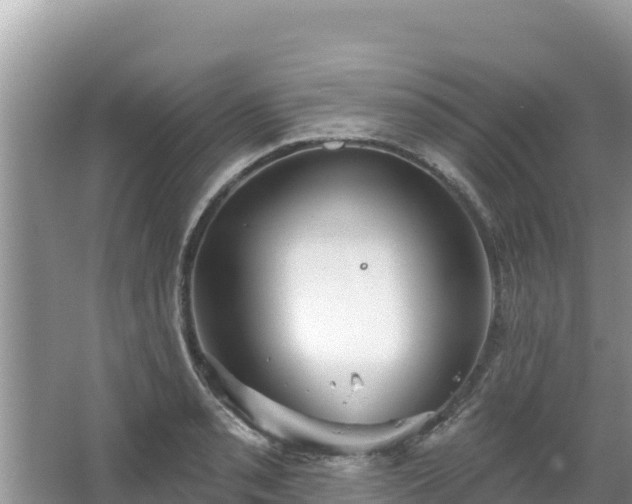 X0000067491085200604101249