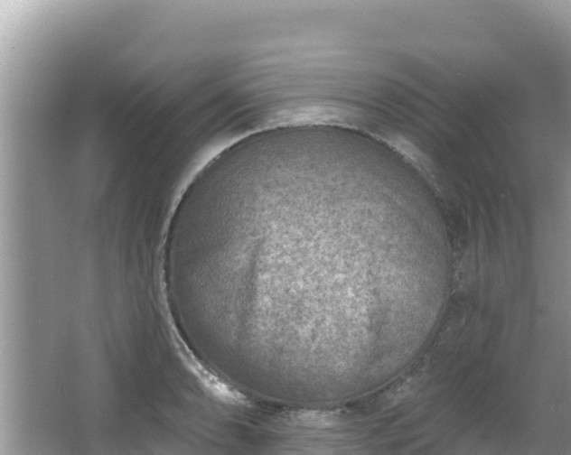 X0000067491086200604101249