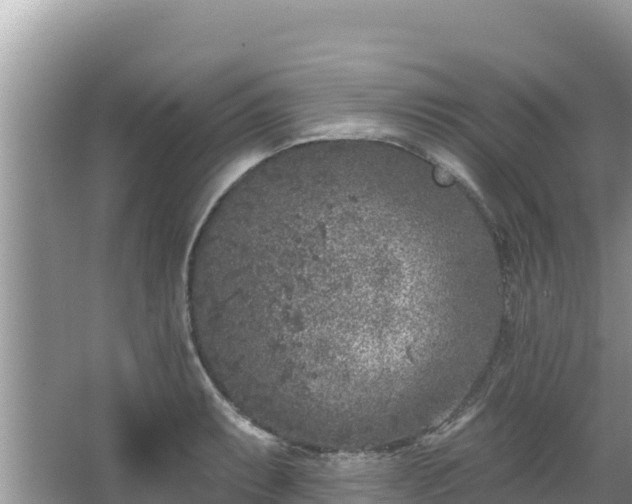 X0000067491087200604101249