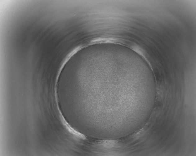 X0000067491090200604101249