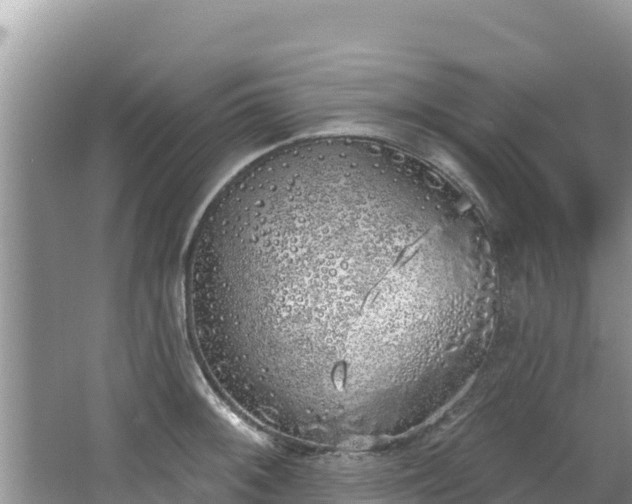 X0000067491092200604101249