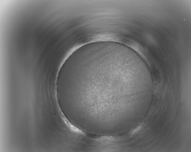 X0000067491094200604101249