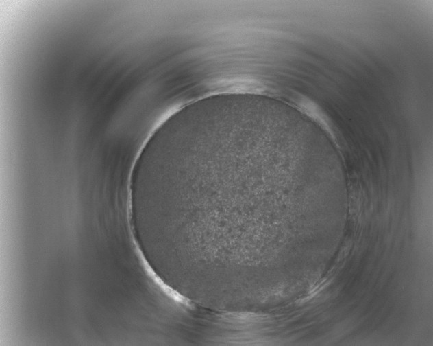 X0000067491095200604101249