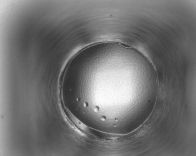 X0000067491096200604101249