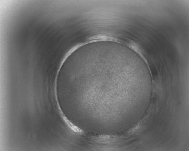 X0000067491098200604101249