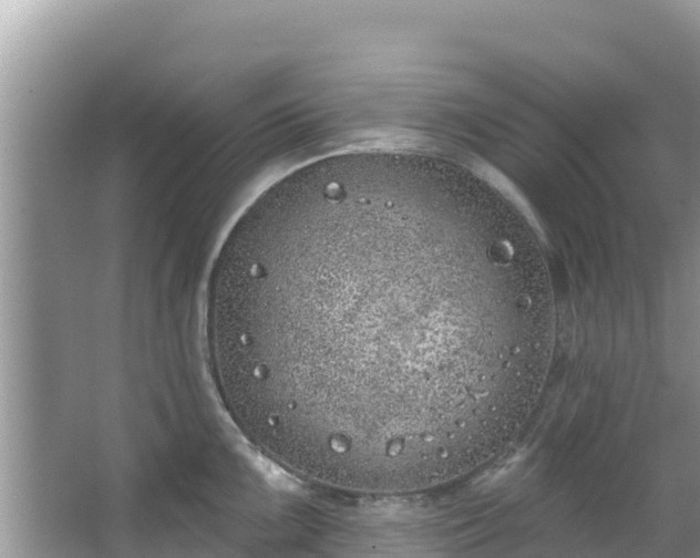 X0000067491099200604101249