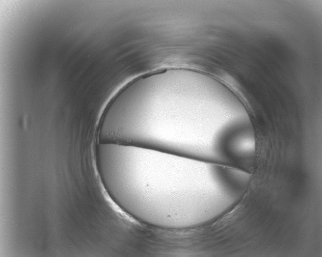 X0000067491100200604101249