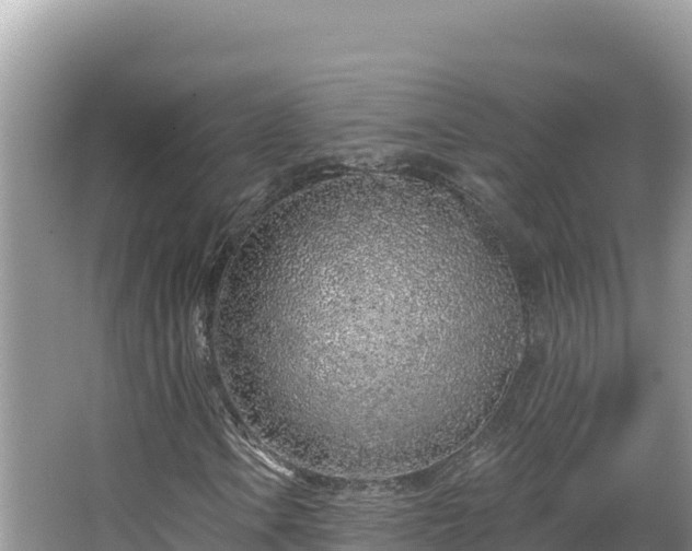 X0000067491106200604101248