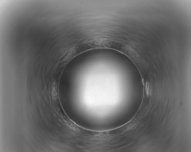 X0000067491107200604101248