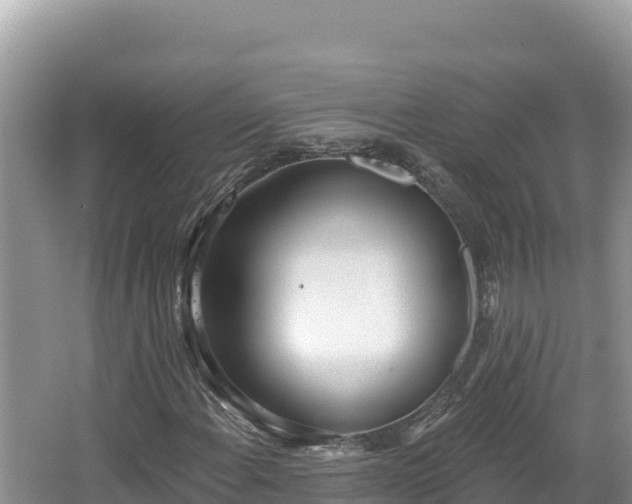 X0000067491108200604101248