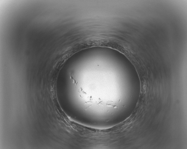 X0000067491109200604101248