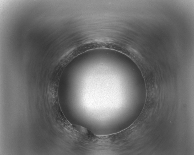 X0000067491110200604101248