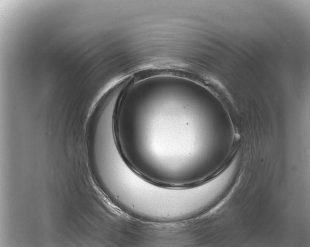 X0000067491114200604101248