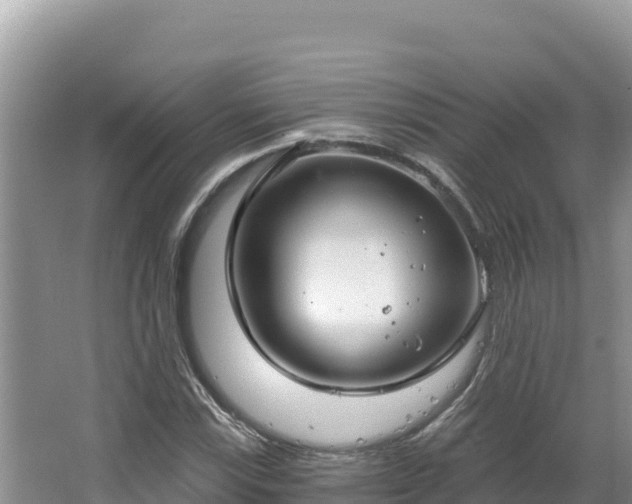 X0000067491115200604101248