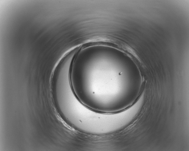 X0000067491116200604101248