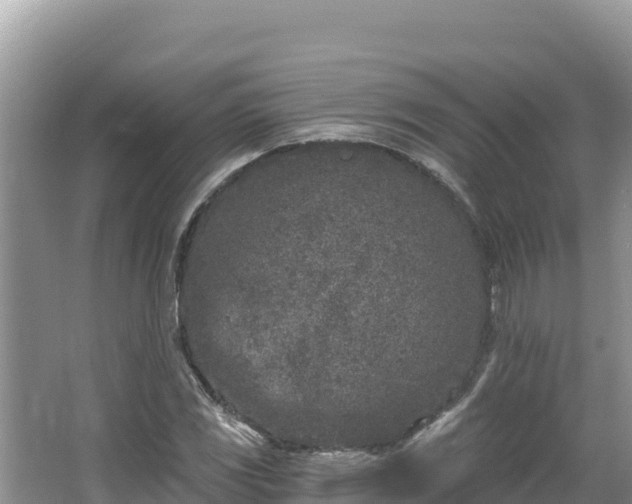 X0000067491117200604101248