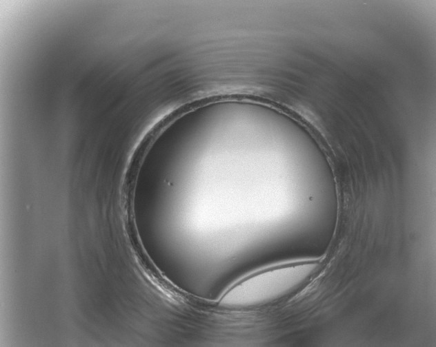 X0000067491119200604101248