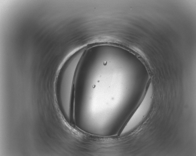 X0000067491120200604101248