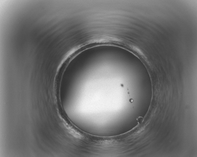 X0000067491122200604101248