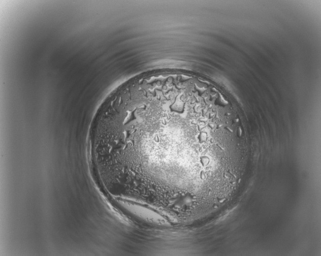 X0000067491125200604101248