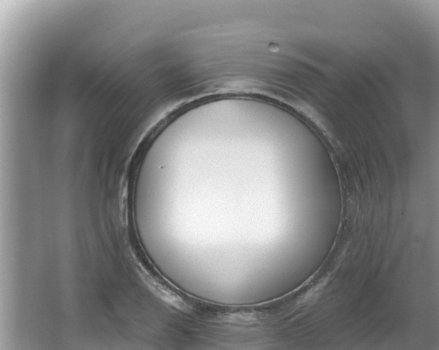 X0000067491126200604101248