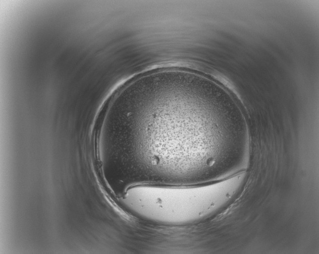 X0000067491127200604101248