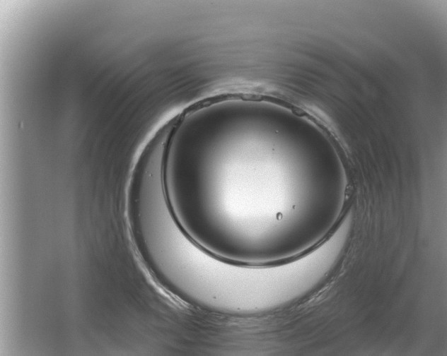 X0000067491128200604101248