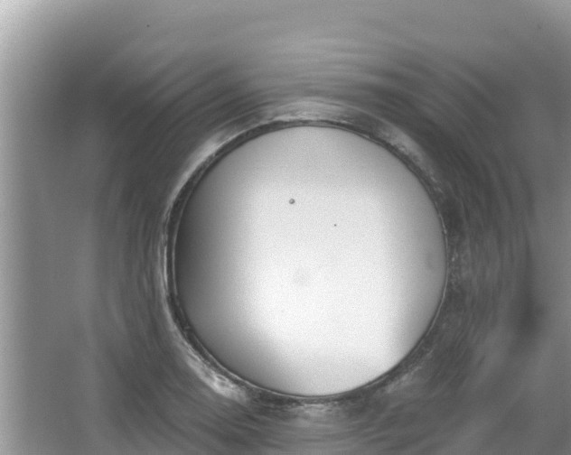 X0000067491130200604101248