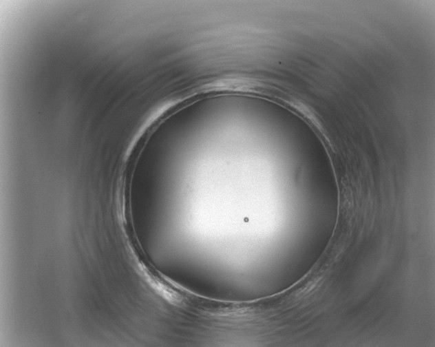 X0000067491131200604101248