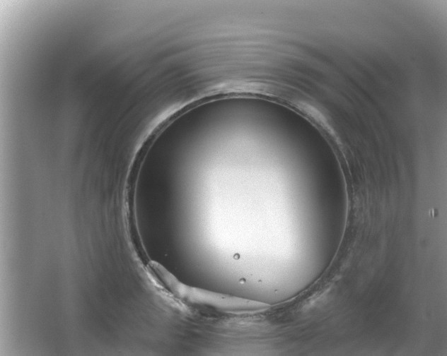 X0000067491133200604101248