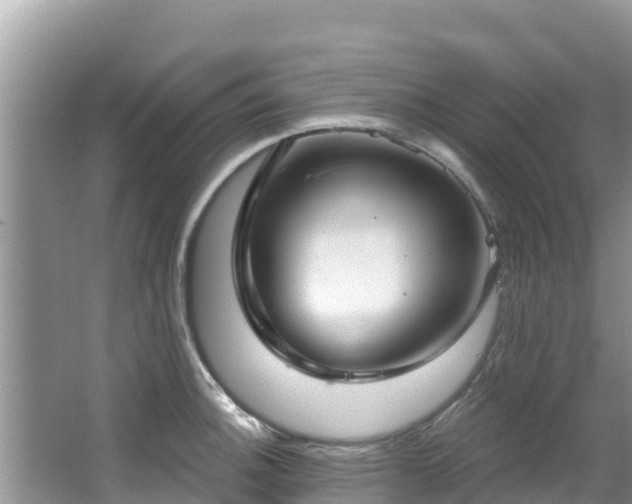 X0000067491140200604101248