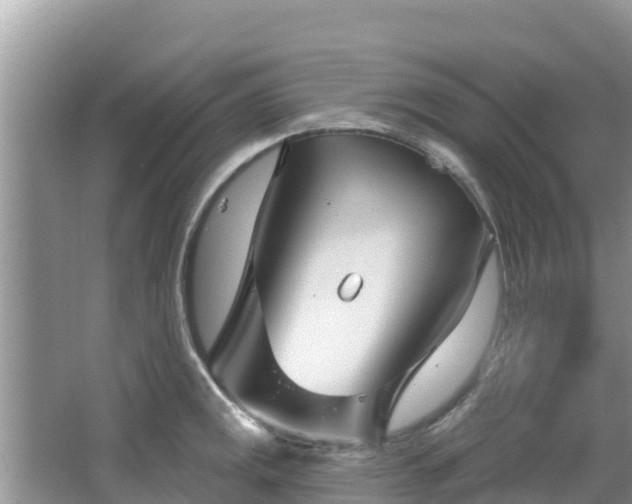 X0000067491141200604101248