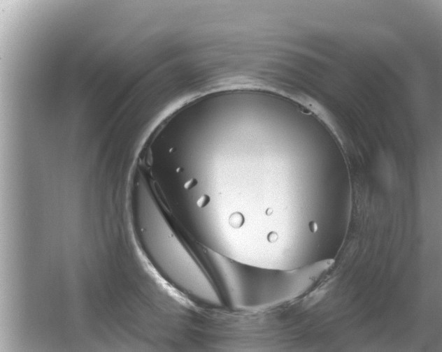 X0000067491142200604101248