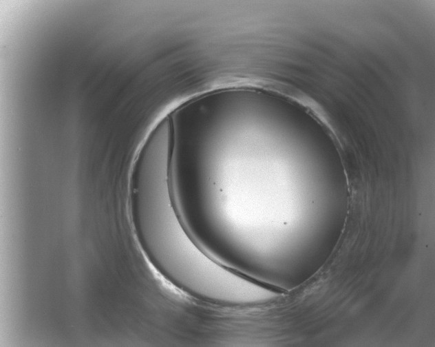 X0000067491143200604101248