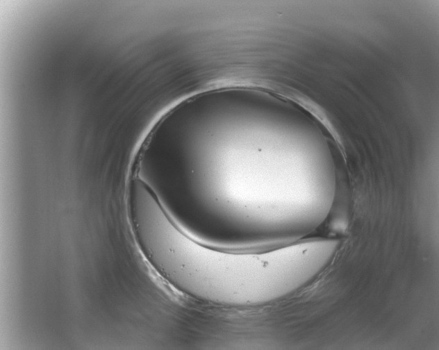 X0000067491148200604101248