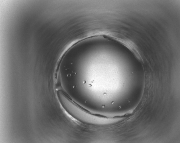 X0000067491151200604101248