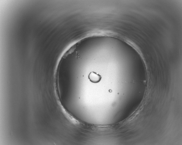 X0000067491152200604101248