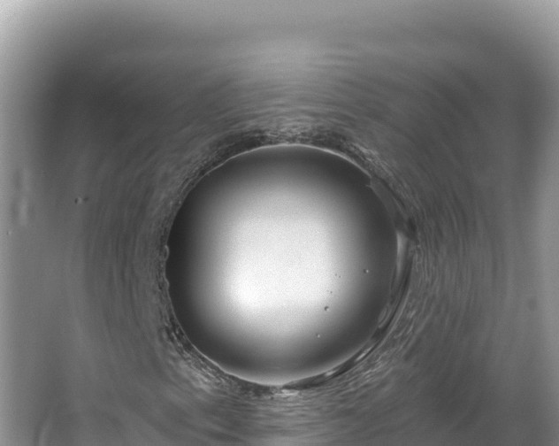 X0000067491153200604101248