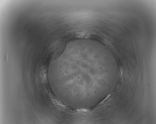 X0000067491154200604101248