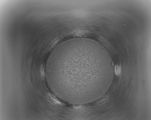 X0000067491155200604101248