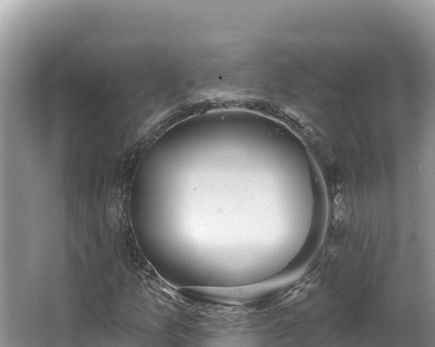 X0000067491157200604101248