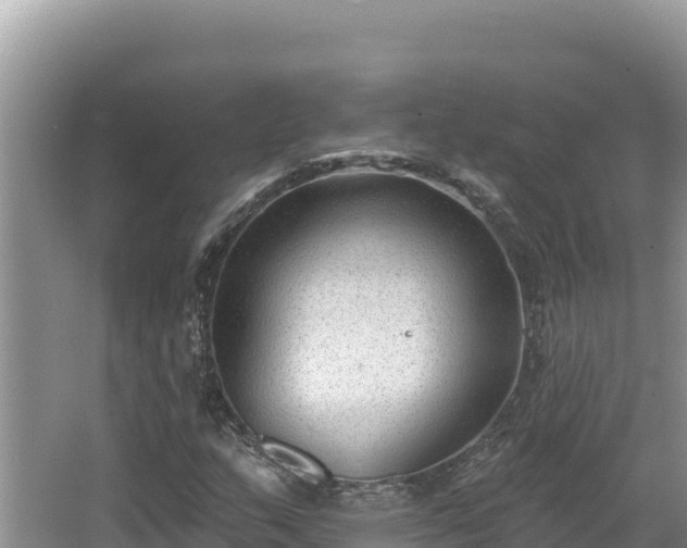 X0000067491159200604101248