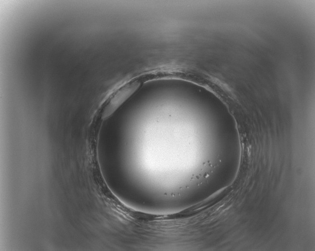 X0000067491160200604101248