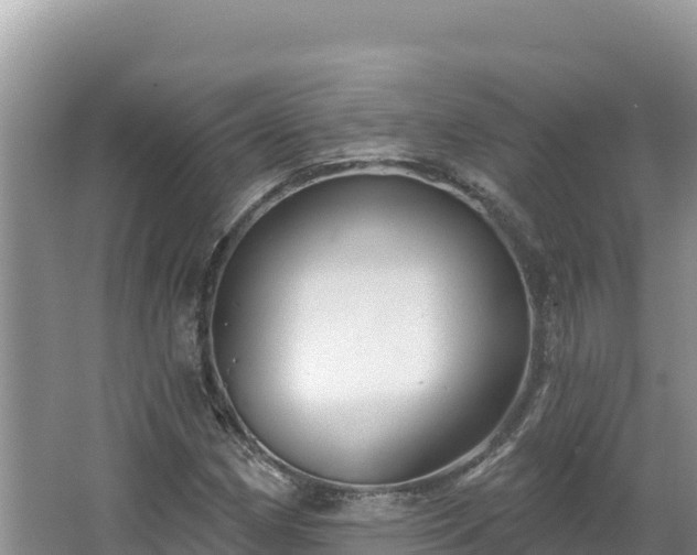 X0000067491162200604101248