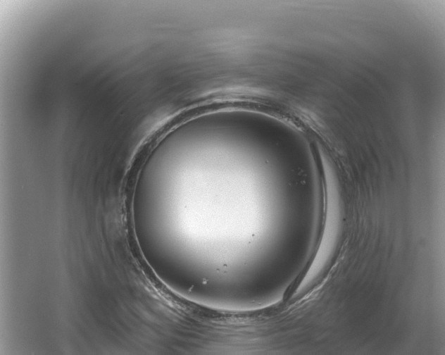 X0000067491164200604101248