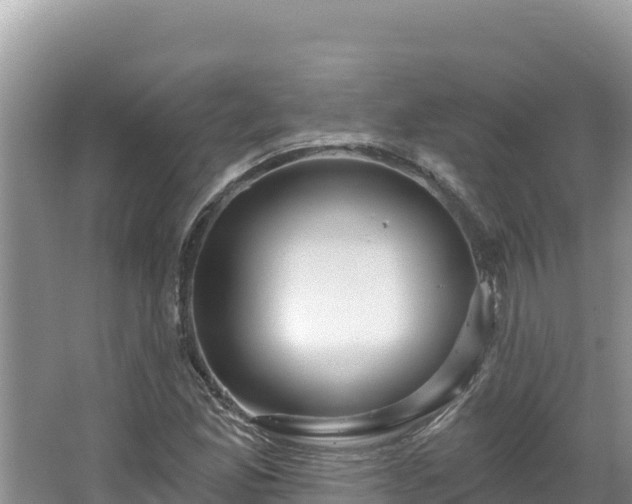 X0000067491165200604101247